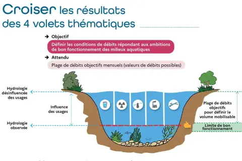 Schéma illustrant les débits d'une rivière, avec une loche poisson nageant près du fond.