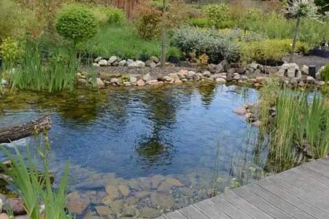 Un étang paisible avec des poissons rouges nageant parmi les rochers et les plantes aquatiques, bordé par un pont en bois et un jardin luxuriant.
