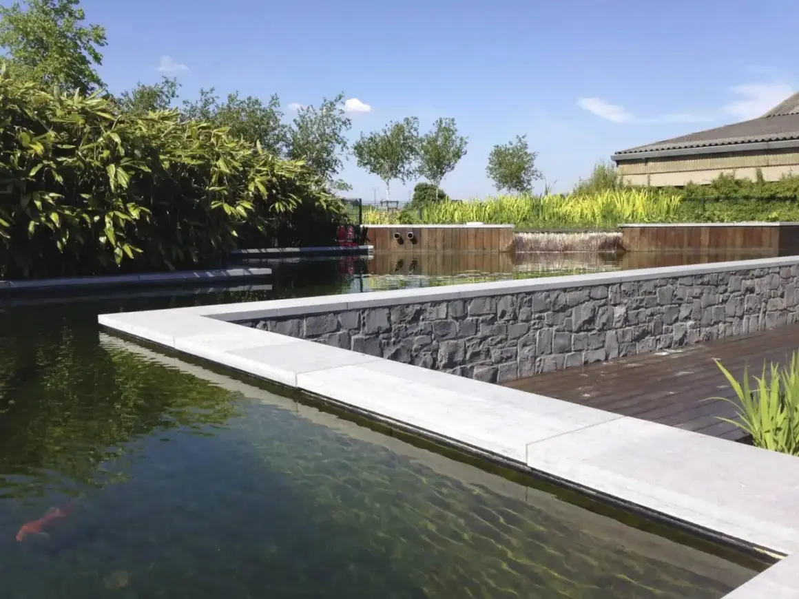 Un bassin avec un poisson rouge, des plantes luxuriantes et une cascade. Idéal pour savoir comment éclaircir l'eau d'un bassin à poissons.