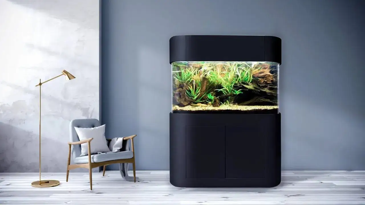 Un élégant bassin vitré moderne, rempli de plantes aquatiques luxuriantes, trône dans un salon minimaliste, à côté d'un fauteuil confortable et d'une lampe dorée.