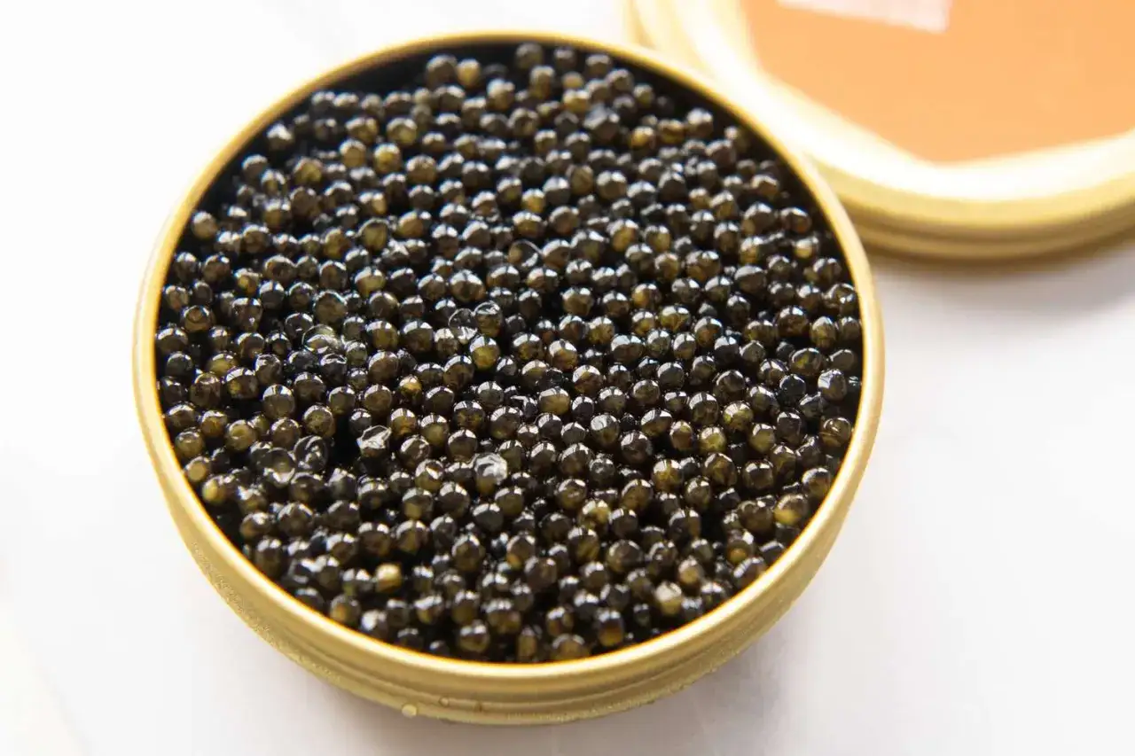Caviar noir brillant dans une boîte dorée. Un délice gastronomique, issu de quels poissons ?