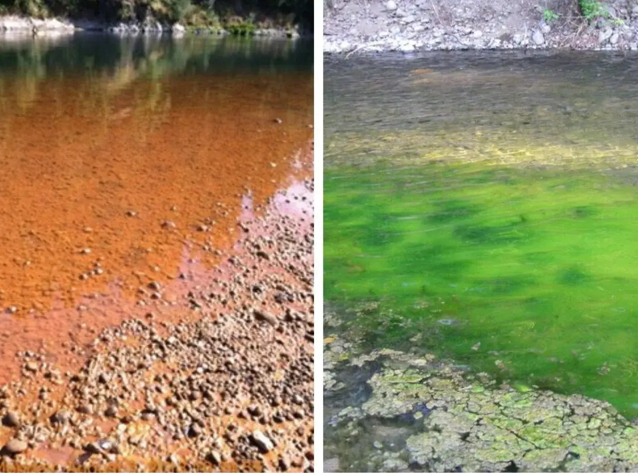Comparaison de deux rivières : l'une avec une eau rougeâtre, l'autre envahie par une algue rouge danger.