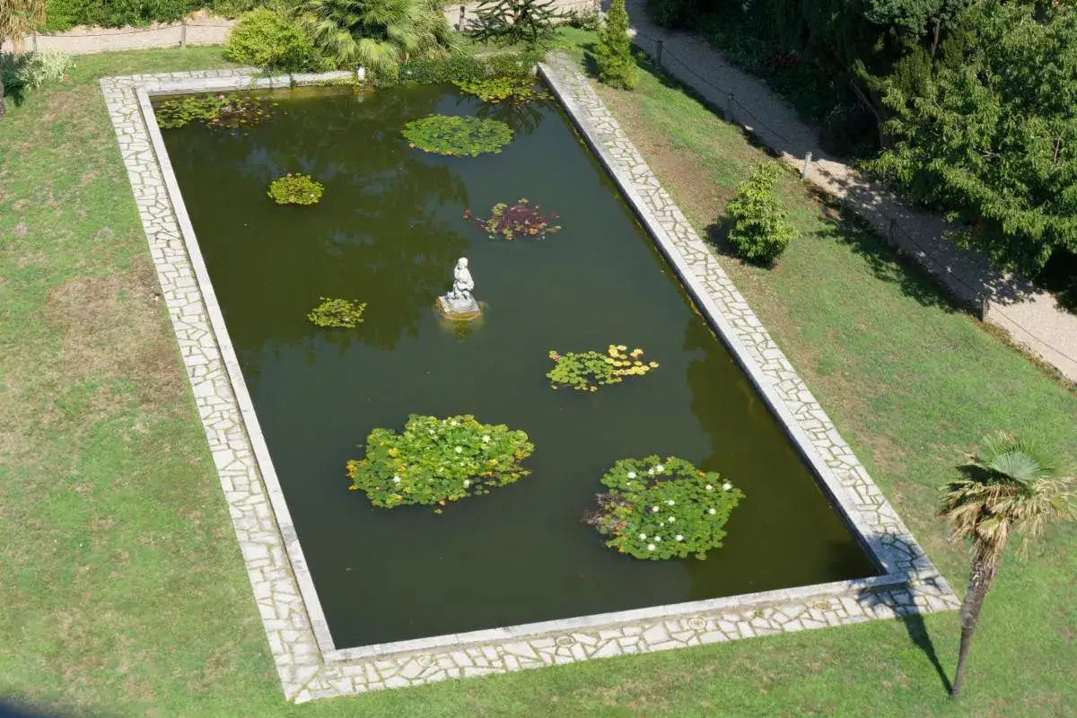 Bassin rectangulaire avec statue, nénuphars et bordure en pierre. Estimation du prix d'un bassin au m2.