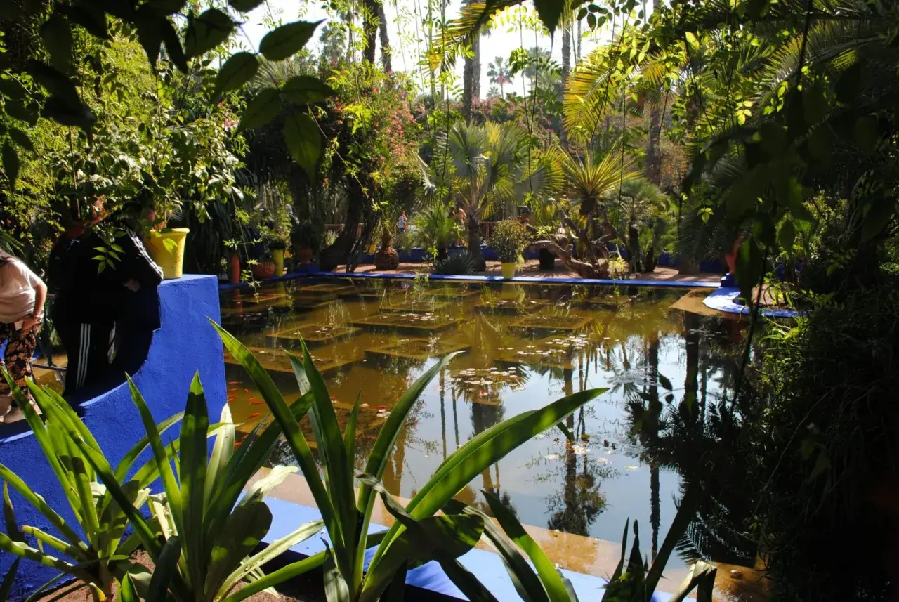 Jardin luxuriant avec un bassin préformé aux bords bleus vifs, idéal pour apprendre comment cacher les bords d'un bassin préformé avec des plantes.