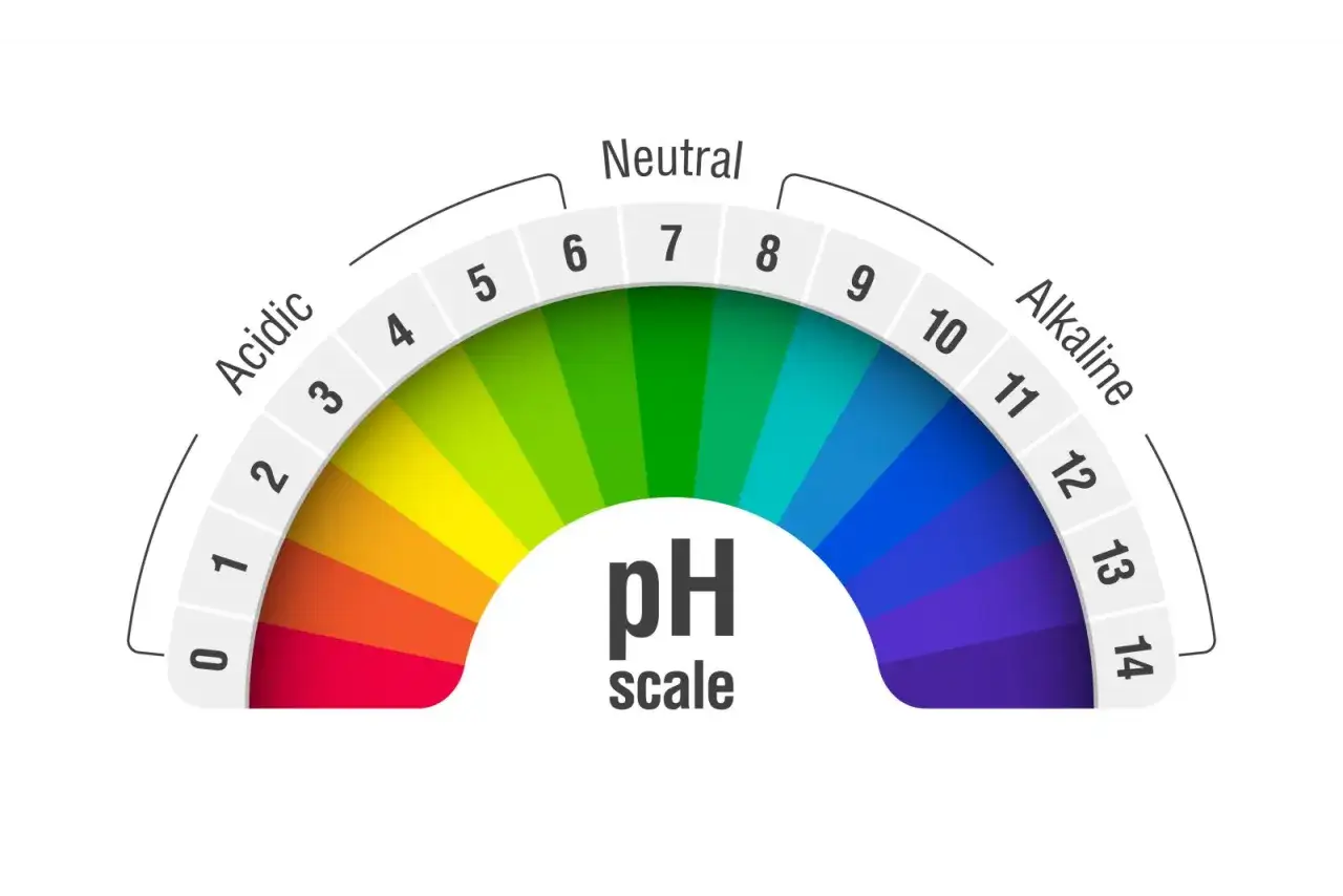 Échelle de pH colorée montrant les valeurs de 0 (acide) à 14 (alcalin), avec 7 comme neutre. Utile pour déterminer quel est le pH de l'eau.