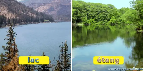 Lac ou étang - La vraie différence pour une bonne gestion